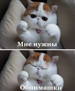 ообнимашки