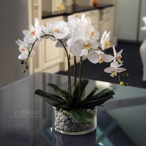 Пересадить орхидею в красивую стеклянную вазу