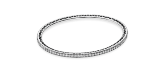 БЭНГЛ "ВЕЧНОЕ СИЯНИЕ"