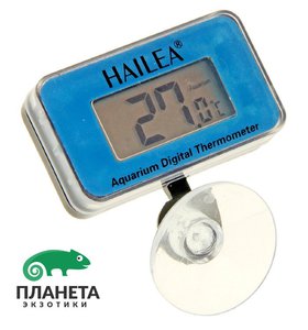 Термометр цифровой Hailea на присоске высокоточный