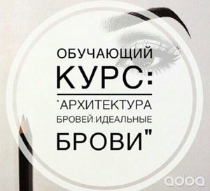 Курсы бровистов