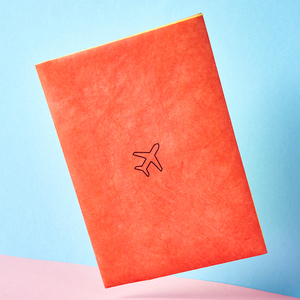 Обложка на паспорт