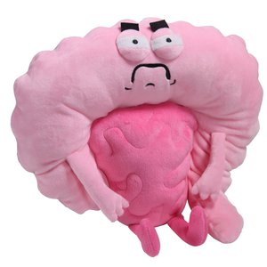 IRRITABLE BOWELS PLUSHIE