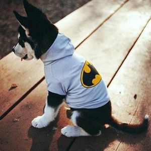 batman hoodie