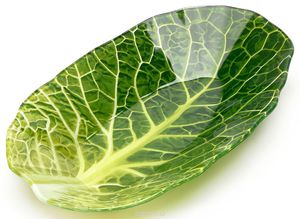 Салатник Walmer "Leaf Lettuce". W22071323 - купить по выгодной цене с доставкой. Кухня от Walmer в интернет-магазине OZON.ru