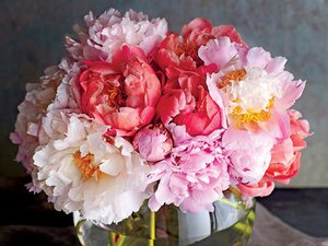 Flowers (peonies)