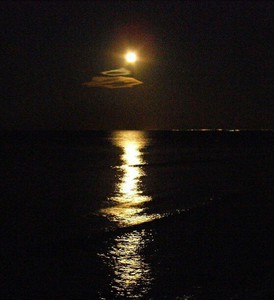 Stars & Moonlight night swimming