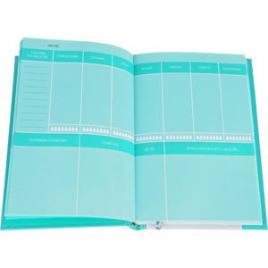 Mint Planner