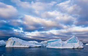Арктика и Антарктика