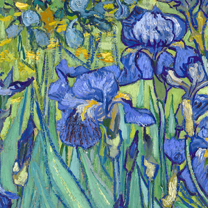 Vincent Van Gogh's Media Exhibition