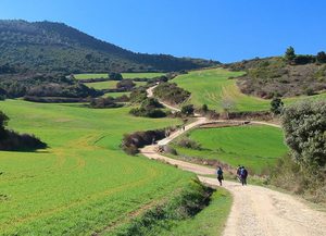 Camino de Santiago