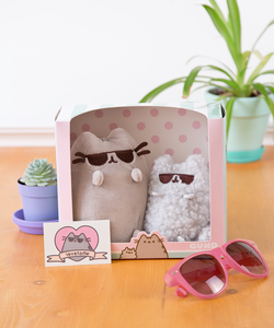 Cool Pusheen and Stormy Collector Set