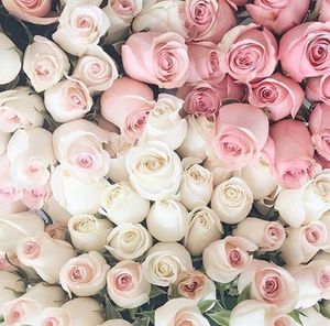 White & pink roses bouquet