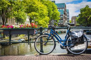 Сосчитать велосипеды в Амстердаме