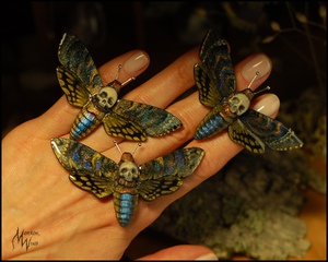 Брошка бражник