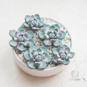 Брошь суккуленты