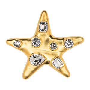 Satin Gold Crystal Star Brooch