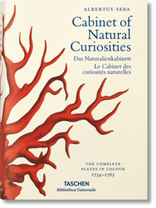 Cabinet of Natural Curiosities