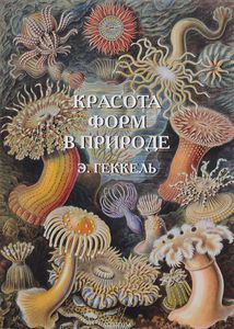 Э. Геккель: Красота форм в природе