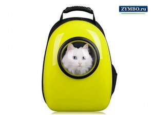 рюкзак-переноска для кота  с иллюминатором