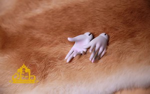 DollFamily-H 1/3 Hand-05