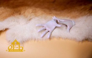 DollFamily-H 1/3 Hand-02