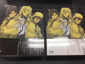 DVD и BD версии фильма "Bungo Stray Dogs DEAD APPLE" оригинальные, язык японский.