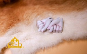 Doll Family-H 1/3 Hand-04
