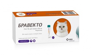 Бравекто для кошек