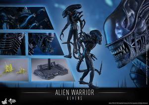 Hot Toys MMS354: Aliens - Alien Warrior 1/6