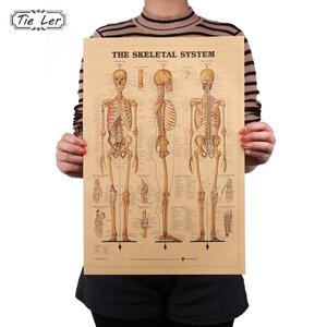 Плакат скелет