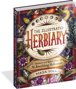 The Illustrated Herbiary oracle