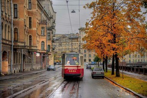 Квартира на Петроградке