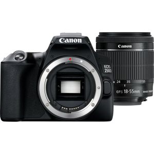 Зеркальная камера canon EOS 250D