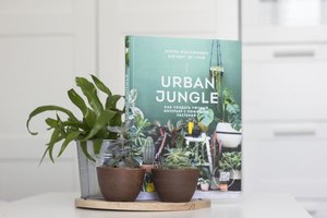 Йосифович, де: Urban Jungle. Как создать уютный интерьер с помощью растений