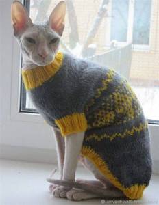 теплый и мягкий свитер для сфинкса