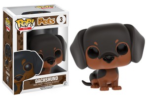 Dachshund