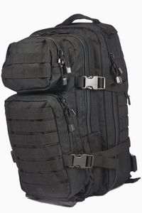 Mil-Tec Military Army Patrol Molle Assault Backpack 36L/20L Он же рюкзак Элиота Алдерсона из "Мистер Робот"