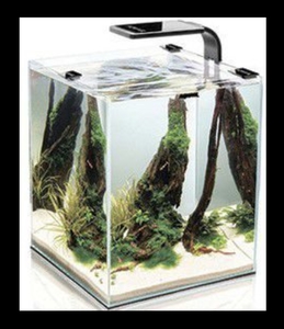 Аквариум 10 л Aquael Shrimp Set Smart Plant 10 черный