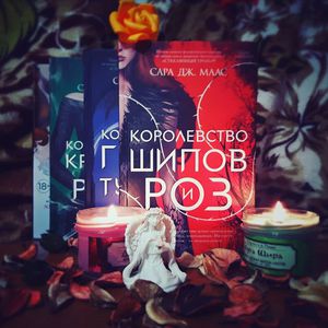 Серия книг Сары Дж. Маас "Королевство шипов и роз"