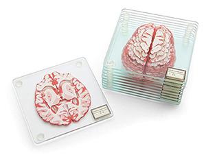 Подставка. 3D мозг.
