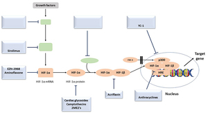 Polymeric Nanoparticles Synthesis