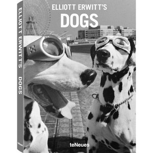 Elliott Erwitt Dogs