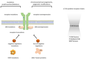 Drug Loaded Liposomes