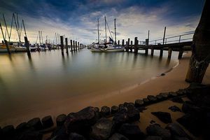 Samyang 14mm T3.1 ED AS IF for Canon