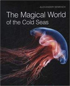 The Magical World of the Cold Seas