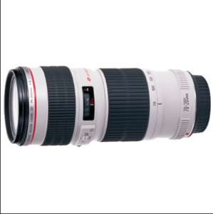 Canon 70-200/4L USM