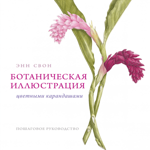 Книга Ботаническая иллюстрация цветными карандашами