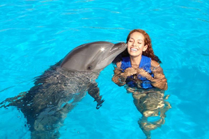 Плаванье c дильфинами