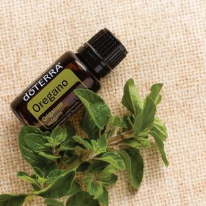 Орегано Origanum vulgare эфирное масло